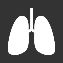 Lungs icon