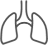 Lungs icon