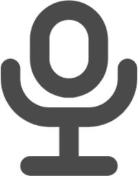 mic icon