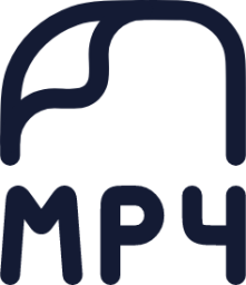 mp4 icon