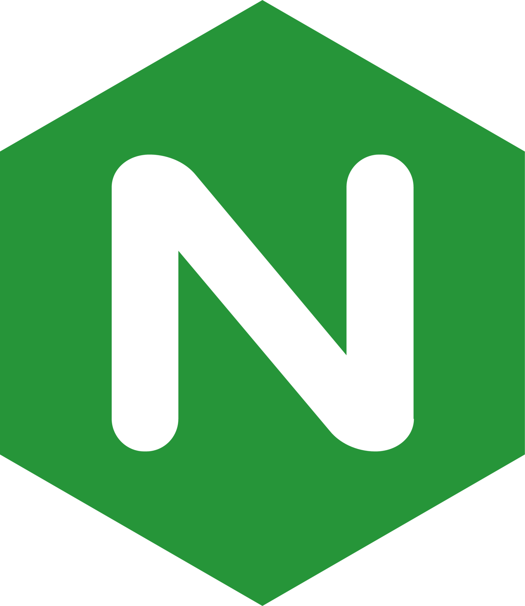 nginx icon