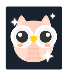 Owl icon