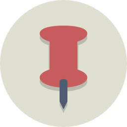 pin icon