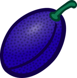 plum icon