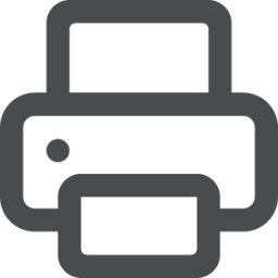 print icon