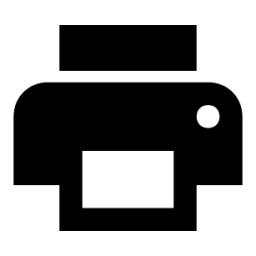 print icon