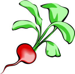 radish icon