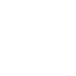 rating icon