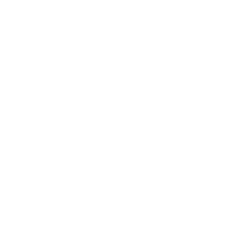 search icon