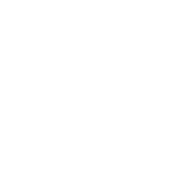 skype icon