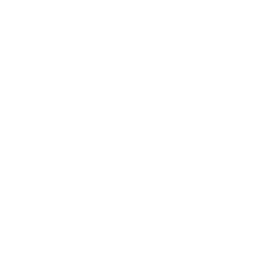 skype icon