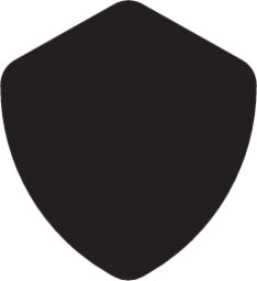 shield icon