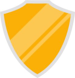 shield icon