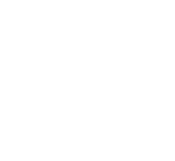 sms icon