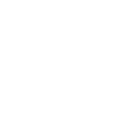 snow icon