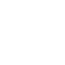 Spotify icon