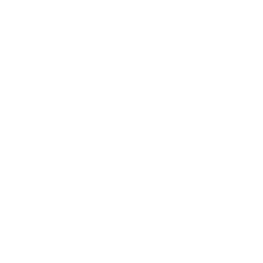 spotify icon