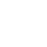 spotify icon