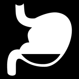 stomach icon