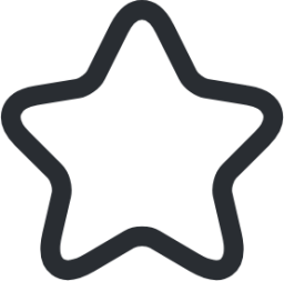 star 1 icon