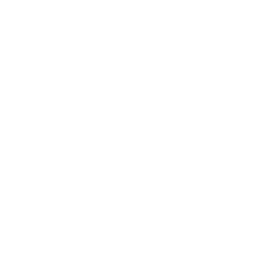 syringe icon