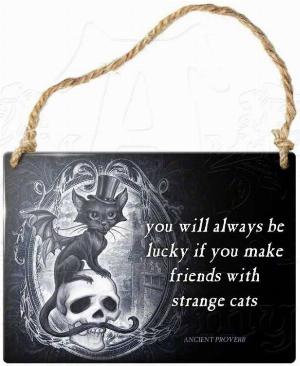 Photo of Strange Cats Small Steel Plaque