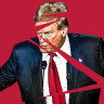 Trump sliced apart