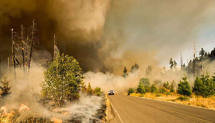 Virtual Tours in Insurance and Restoration