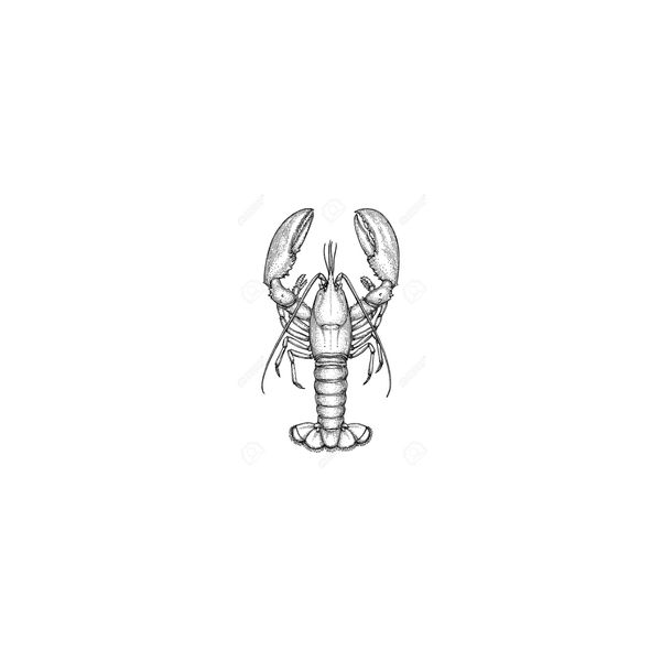 Terence Ryan|Common Man