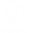 gssn-mark_white.png