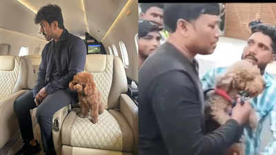 Ram Charan’s puppy Rhyme’s Instagram handle clarifies he was not mobbed by fans in the viral video: 'That’s my brother Toffee! I’m with Nana'