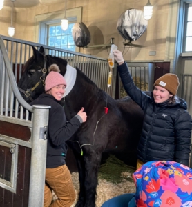 As a precaution, Dr. Kilgallon's team administered botulism vaccinations to my Friesian Rinze and my Fell Pony Banchunch, who shared the same hay. Fortunately, neither showed any symptoms contamination.