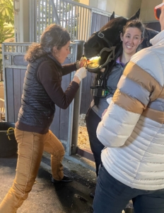 My equine veterinarian, Dr. Elizabeth Kilgallon, in the jacket on the far right, Dr. Mackinnon, and Carly, were called in to check on Bond. Dr. Kilgannon has always taken such great care of my horses and donkeys. They started with a dental exam to see if Bond had a toothache. They removed a small fragment from his gum, but it did not relieve any of Bond's symptoms.