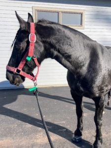 Here he is outside for the first time.