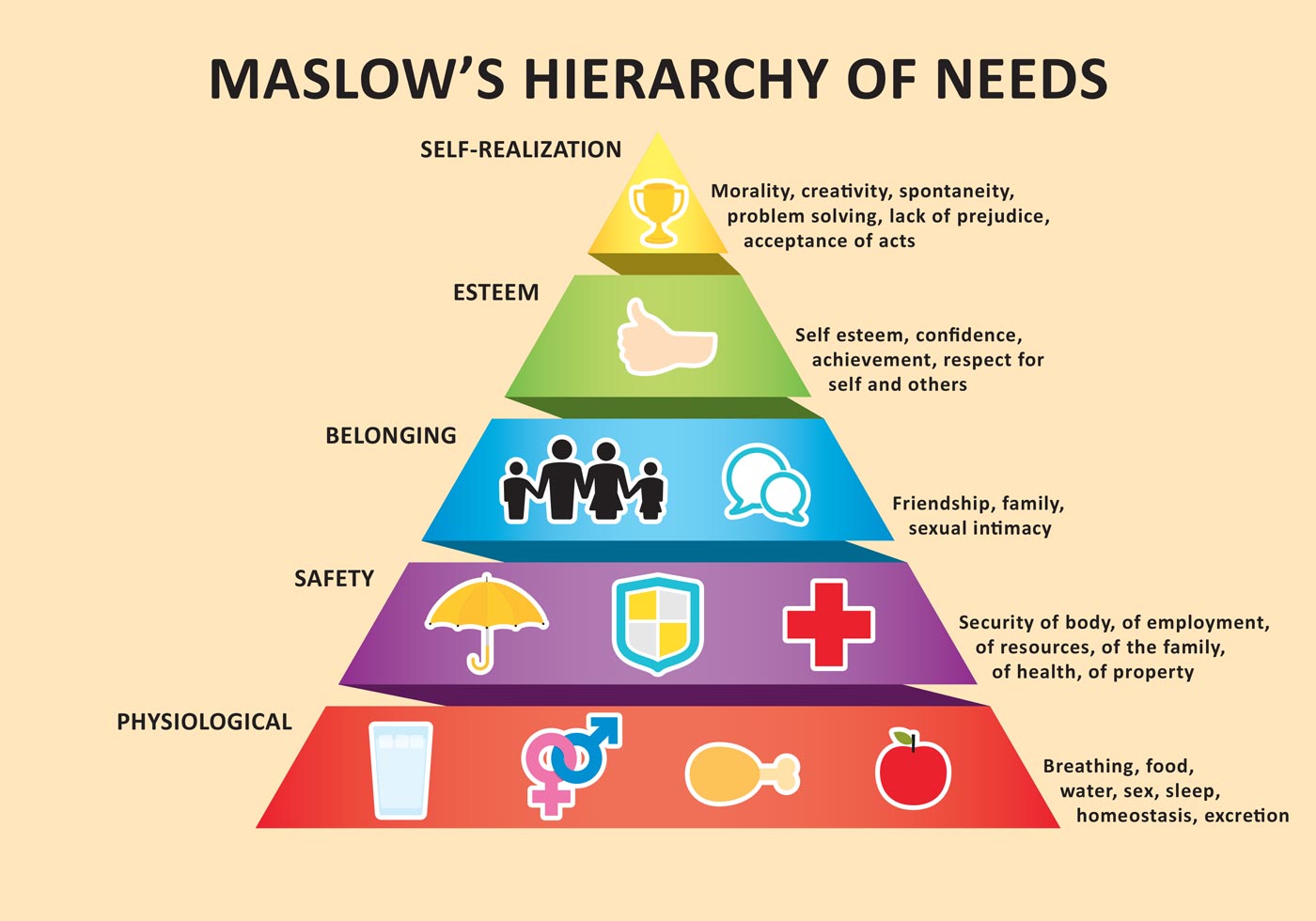 La Piramide De Maslow Piramide De Maslow Jerarquia De Necesidades ...