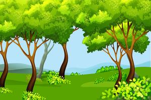 Green forest nature landscape vector