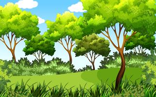 green outdoor park scene vector