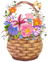 Spring flower with vintage basket watercolor png