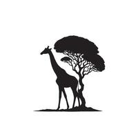 Giraffe silhouette design. Giraffe logo, giraffe illustration. vector