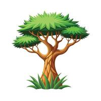 Beautiful Single Big Tree Illustration vector