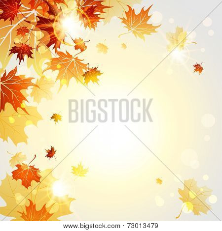 Fall maple leaves on sunny light background. Vector illustration