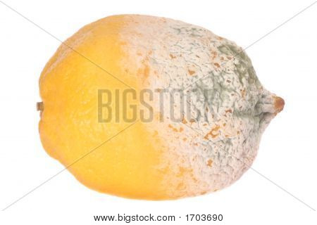 Lemon Fruit Half-Damaged