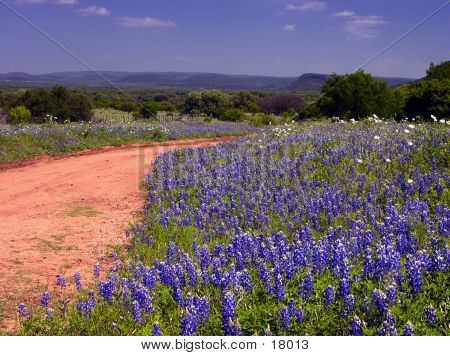 Clay Road Blues