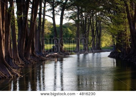 Tranquil Guadalupe