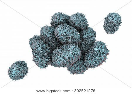 Spores Of Stachybotrys Chartarum Mould, A Toxic Mould, A Common Fungi Found In Indoor Air And Causin