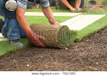 Laying Sod For New Lawn