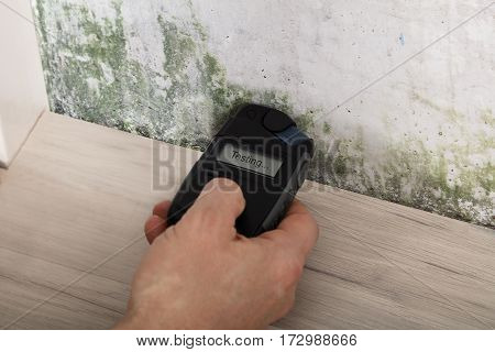 Person Hand Measuring The Wetness Off A Moldy Wall