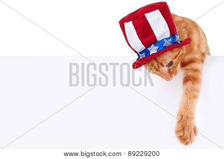 Patriotic Cat Sign