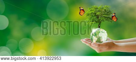 Growing tree on Globe crystal glass ball in hand with butterfly. Green background with bokeh. World mental health and World earth day. Saving environment and World Ecology Concept.