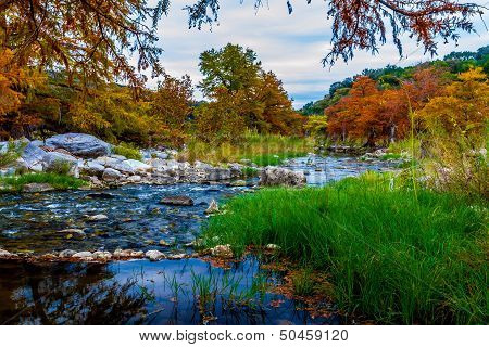 Stunning Fall Colors of Texas Cypress Trees Surrounding a Crystal Clear Texas Hill Country River